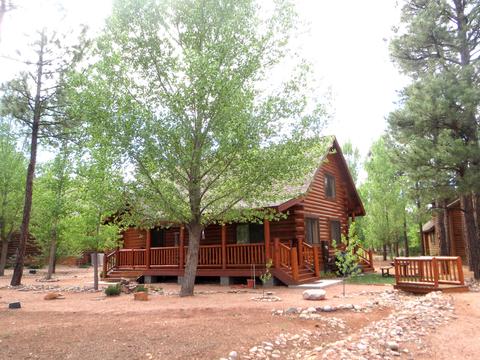 2312 Overgaard Springs Loop, Overgaard, AZ 85933 photo 1