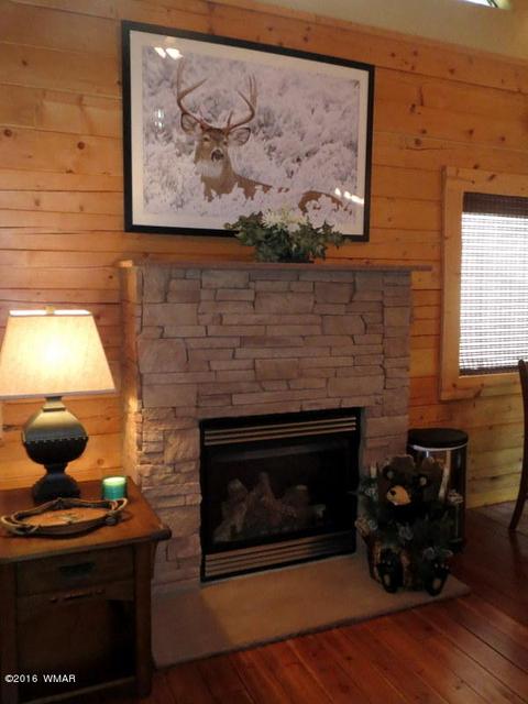 2312 Overgaard Springs Loop, Overgaard, AZ 85933 photo 14