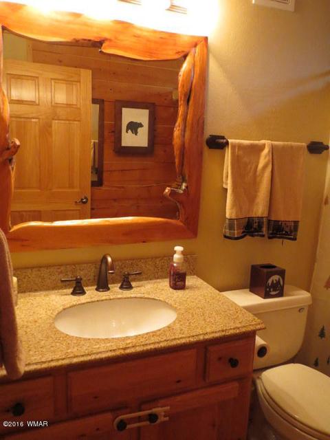 2312 Overgaard Springs Loop, Overgaard, AZ 85933 photo 28