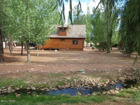 2312 Overgaard Springs Loop, Overgaard, AZ 85933 photo 6