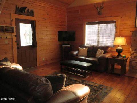 2312 Overgaard Springs Loop, Overgaard, AZ 85933 photo 11