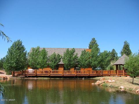 2312 Overgaard Springs Loop, Overgaard, AZ 85933 photo 51