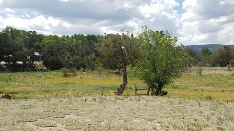 735 W School Bus Rd, Eagar, AZ 85925 photo 43
