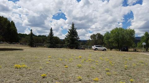 735 W School Bus Rd, Eagar, AZ 85925 photo 50