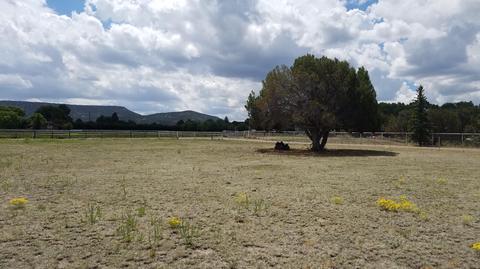 735 W School Bus Rd, Eagar, AZ 85925 photo 51