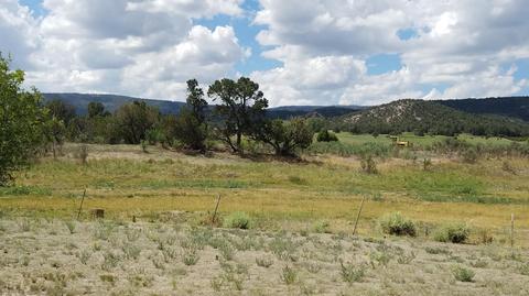 735 W School Bus Rd, Eagar, AZ 85925 photo 42