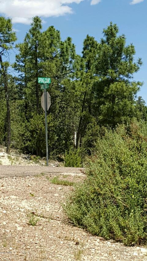 3349 Sawmill Ridge Loop, Heber, AZ 85928 photo 5