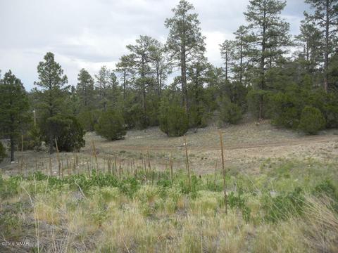 3349 Sawmill Ridge Loop, Heber, AZ 85928 photo 1