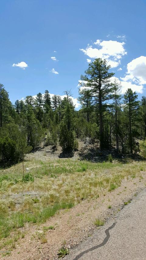 3349 Sawmill Ridge Loop, Heber, AZ 85928 photo 4
