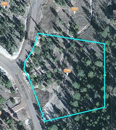 3349 Sawmill Ridge Loop, Heber, AZ 85928 photo 9
