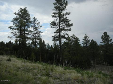 3349 Sawmill Ridge Loop, Heber, AZ 85928 photo 2