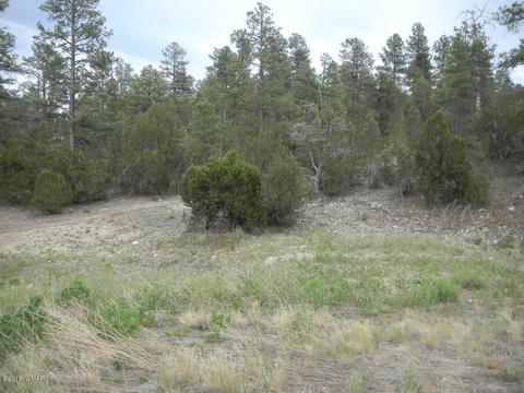 3349 Sawmill Ridge Loop, Heber, AZ 85928 photo 3