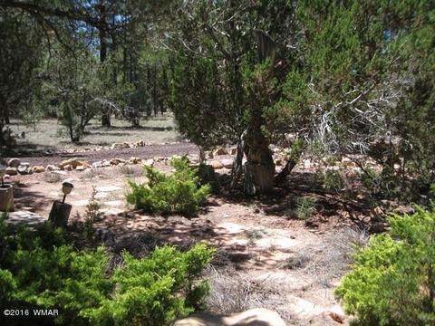 3030 Chevelon Rd, Overgaard, AZ 85933 photo 29
