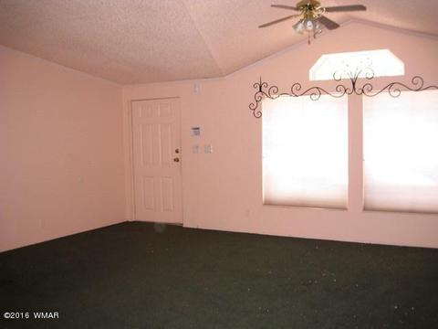 3030 Chevelon Rd, Overgaard, AZ 85933 photo 5