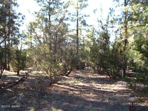 3030 Chevelon Rd, Overgaard, AZ 85933 photo 27