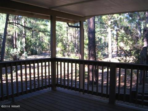3030 Chevelon Rd, Overgaard, AZ 85933 photo 32