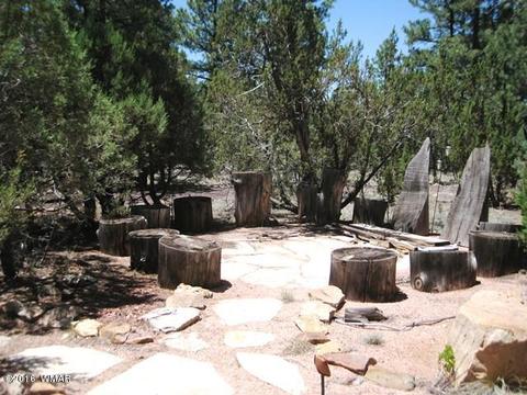 3030 Chevelon Rd, Overgaard, AZ 85933 photo 25