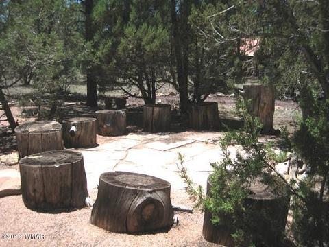 3030 Chevelon Rd, Overgaard, AZ 85933 photo 24