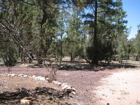 3030 Chevelon Rd, Overgaard, AZ 85933 photo 28