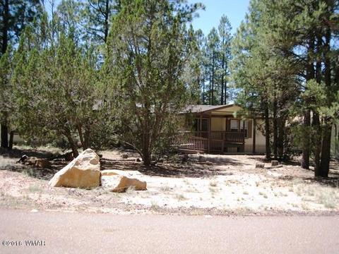 3030 Chevelon Rd, Overgaard, AZ 85933 photo 3