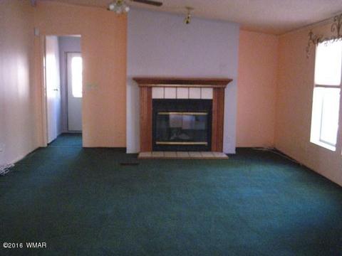 3030 Chevelon Rd, Overgaard, AZ 85933 photo 16