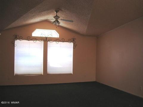 3030 Chevelon Rd, Overgaard, AZ 85933 photo 6