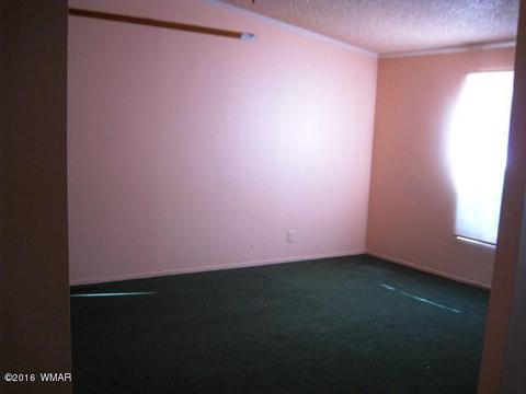 3030 Chevelon Rd, Overgaard, AZ 85933 photo 19