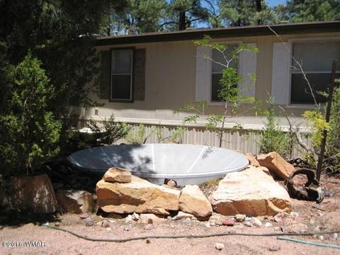 3030 Chevelon Rd, Overgaard, AZ 85933 photo 30