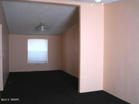 3030 Chevelon Rd, Overgaard, AZ 85933 photo 13