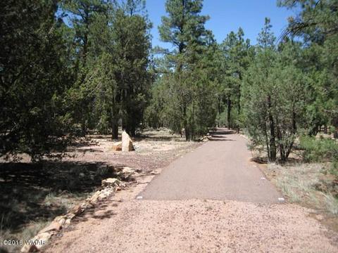 3030 Chevelon Rd, Overgaard, AZ 85933 photo 2