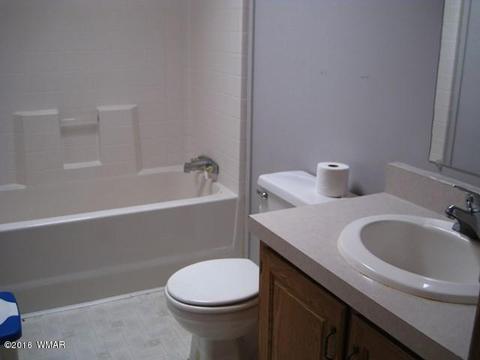3030 Chevelon Rd, Overgaard, AZ 85933 photo 14