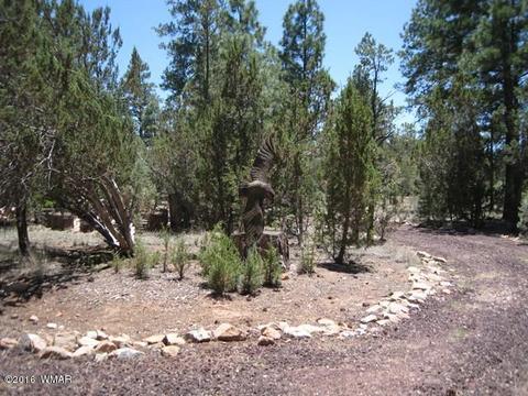 3030 Chevelon Rd, Overgaard, AZ 85933 photo 26