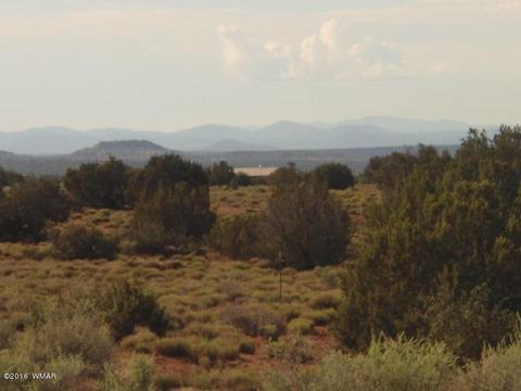 2275 E Mountain View Dr, Snowflake, AZ 85937 photo 1