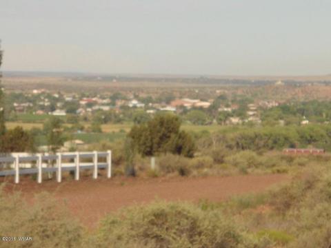 2275 E Mountain View Dr, Snowflake, AZ 85937 photo 8