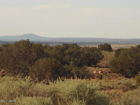 2275 E Mountain View Dr, Snowflake, AZ 85937 photo 3