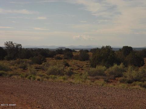 2275 E Mountain View Dr, Snowflake, AZ 85937 photo 2