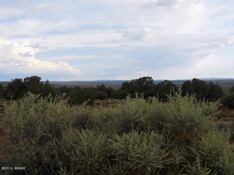 2275 E Mountain View Dr, Snowflake, AZ 85937 photo 15