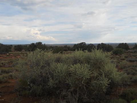 2275 E Mountain View Dr, Snowflake, AZ 85937 photo 10
