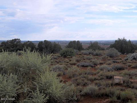2275 E Mountain View Dr, Snowflake, AZ 85937 photo 14