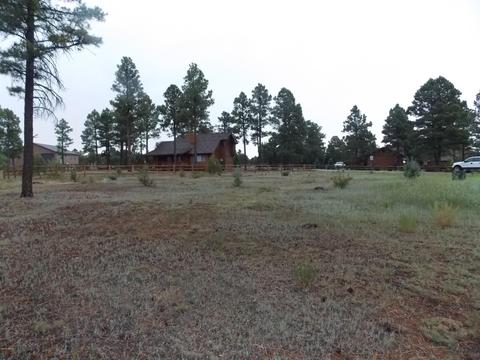 2736 Airpark Dr, Overgaard, AZ 85933 photo 4