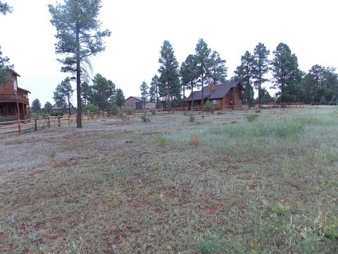2736 Airpark Dr, Overgaard, AZ 85933 photo 3
