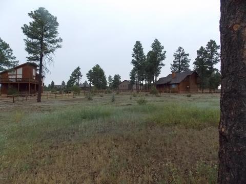 2736 Airpark Dr, Overgaard, AZ 85933 photo 2
