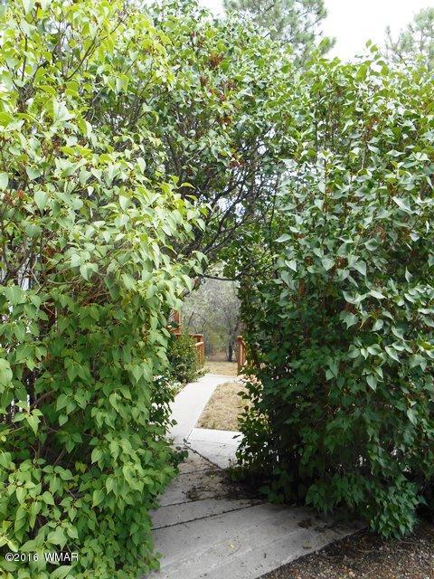 3337 Pine Cone Dr, Overgaard, AZ 85933 photo 6