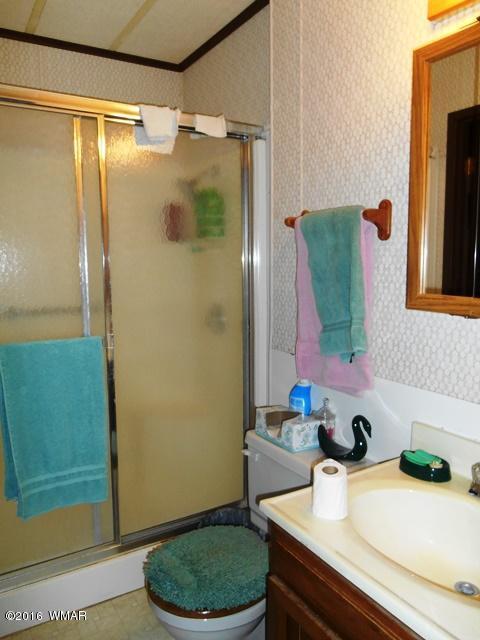 3337 Pine Cone Dr, Overgaard, AZ 85933 photo 27