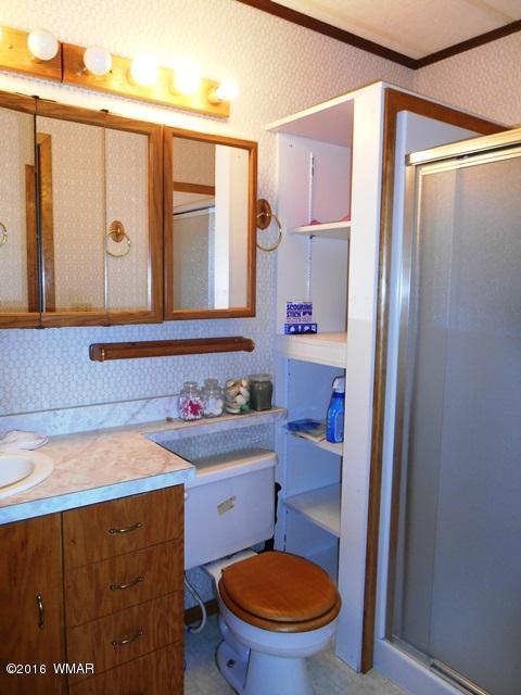 3337 Pine Cone Dr, Overgaard, AZ 85933 photo 26
