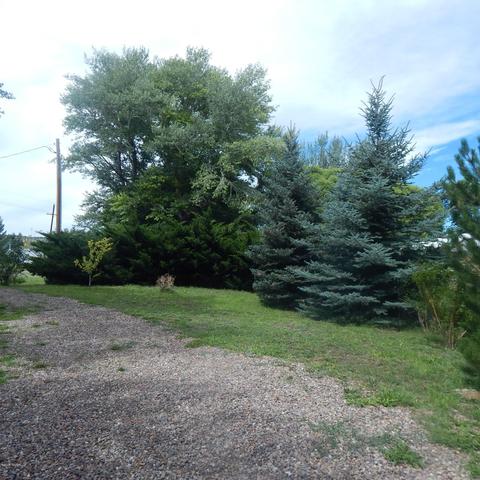 512 W School Bus Rd, Eagar, AZ 85925 photo 10