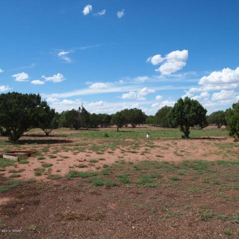 4214 Indian Bend Rd, Snowflake, AZ 85937 photo 42