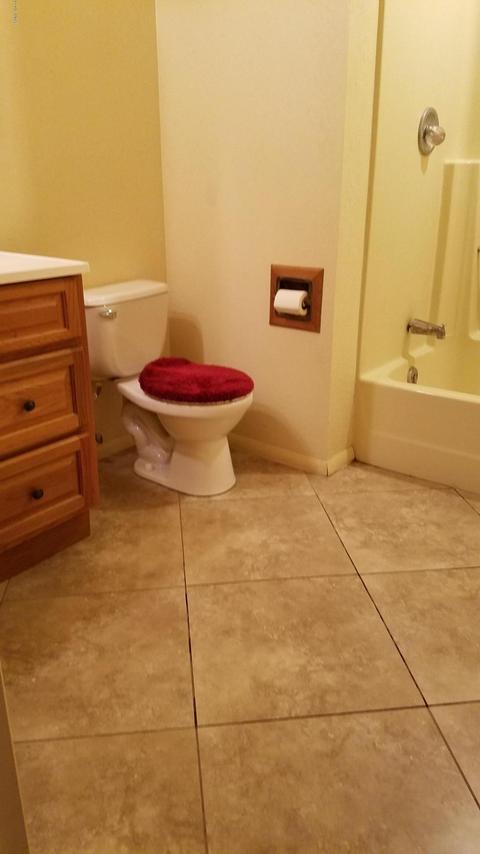 219 S Eagar St, Eagar, AZ 85925 photo 29