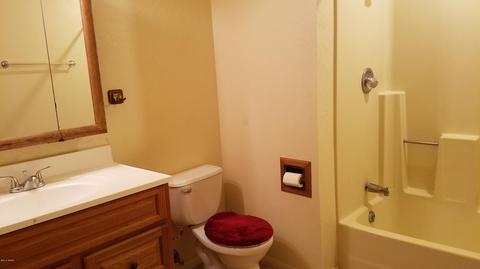219 S Eagar St, Eagar, AZ 85925 photo 28