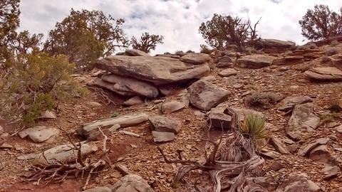 8513 E Tryon Ln, Snowflake, AZ 85937 photo 9